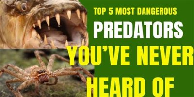 10 Terrifying And Deadly Predators You've Never Heard Of