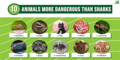 15 Animals Surprisingly More Deadly Than Sharks