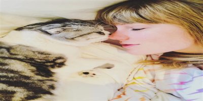 A Guide to Taylor Swift's Cats: Benjamin Button, More