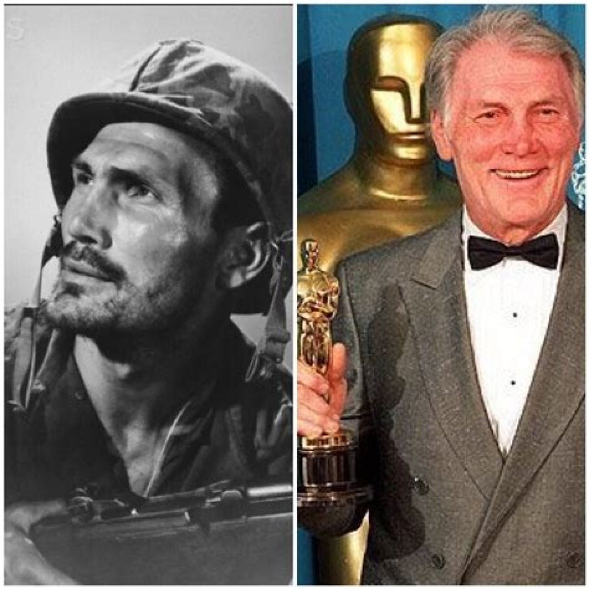 A Veteran Actor In Hollywood