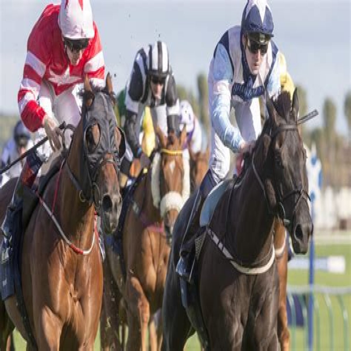 Ayr Gold Cup runners and riders list plus Templegate tip who's in 'form of his life' for Saturday ca