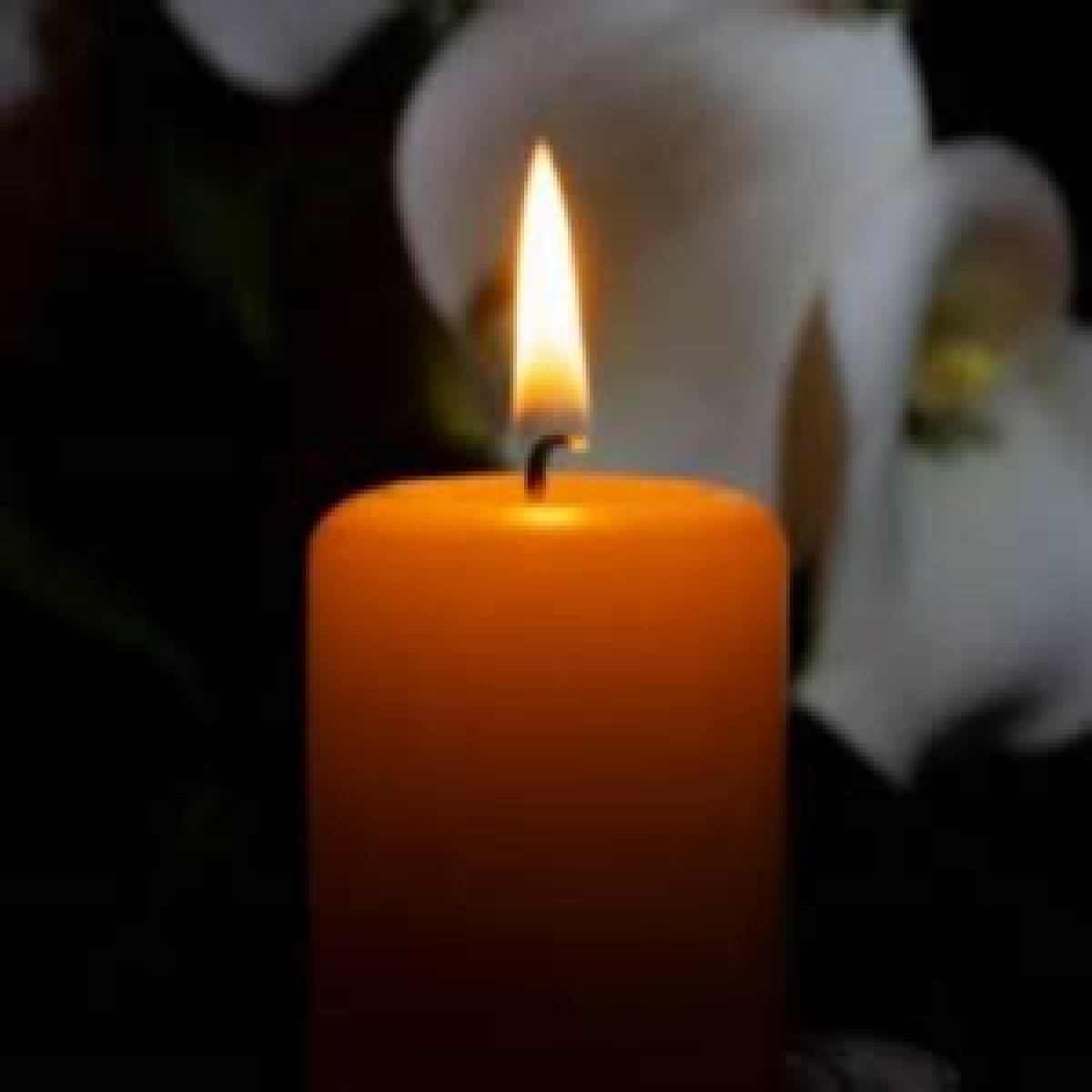 
			Beloved Munger Community Member, Jacinta Gholston, Mourned After Tragic Car Accident: Obituary and Death Cause Revealed in Viral Video		