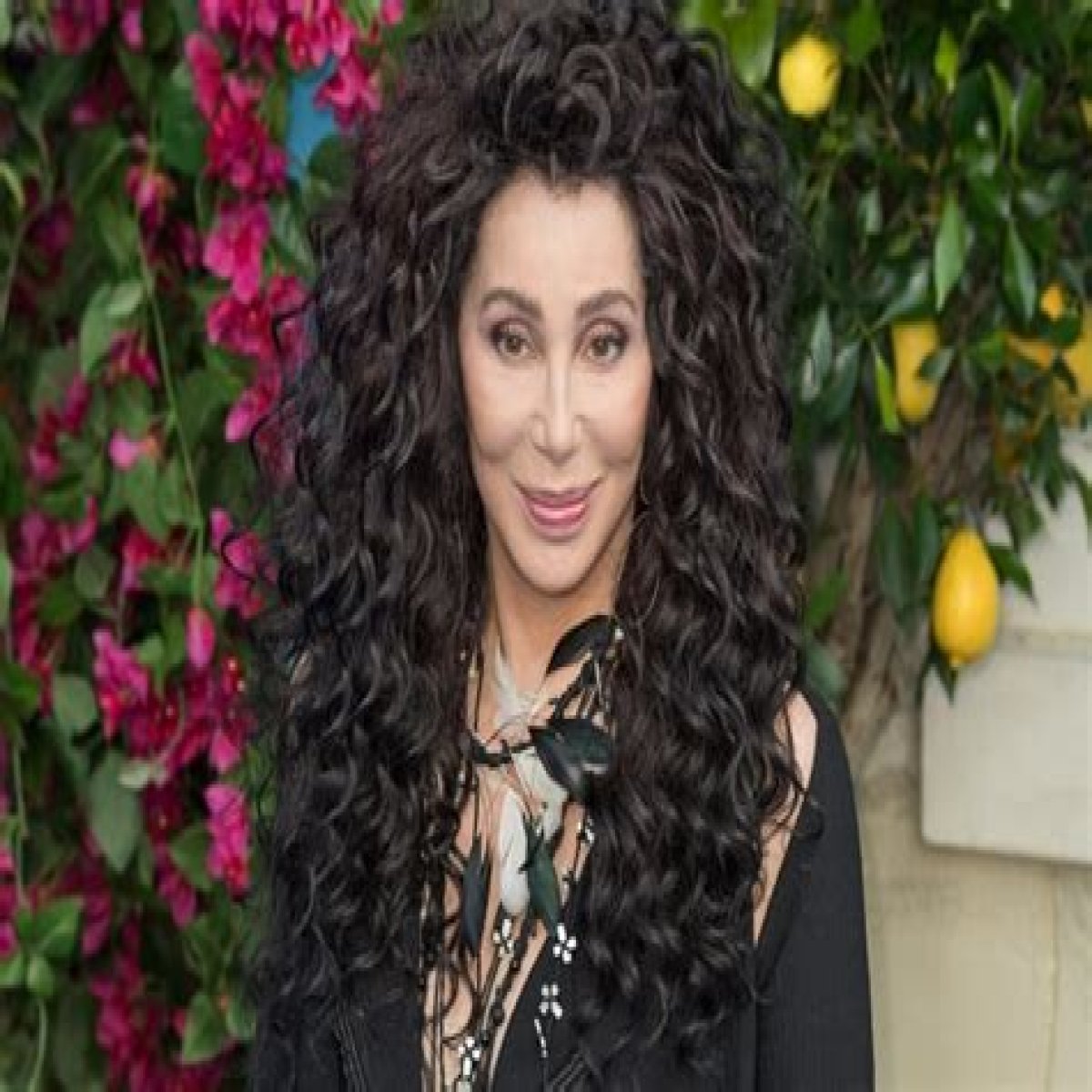 Cher Net Worth