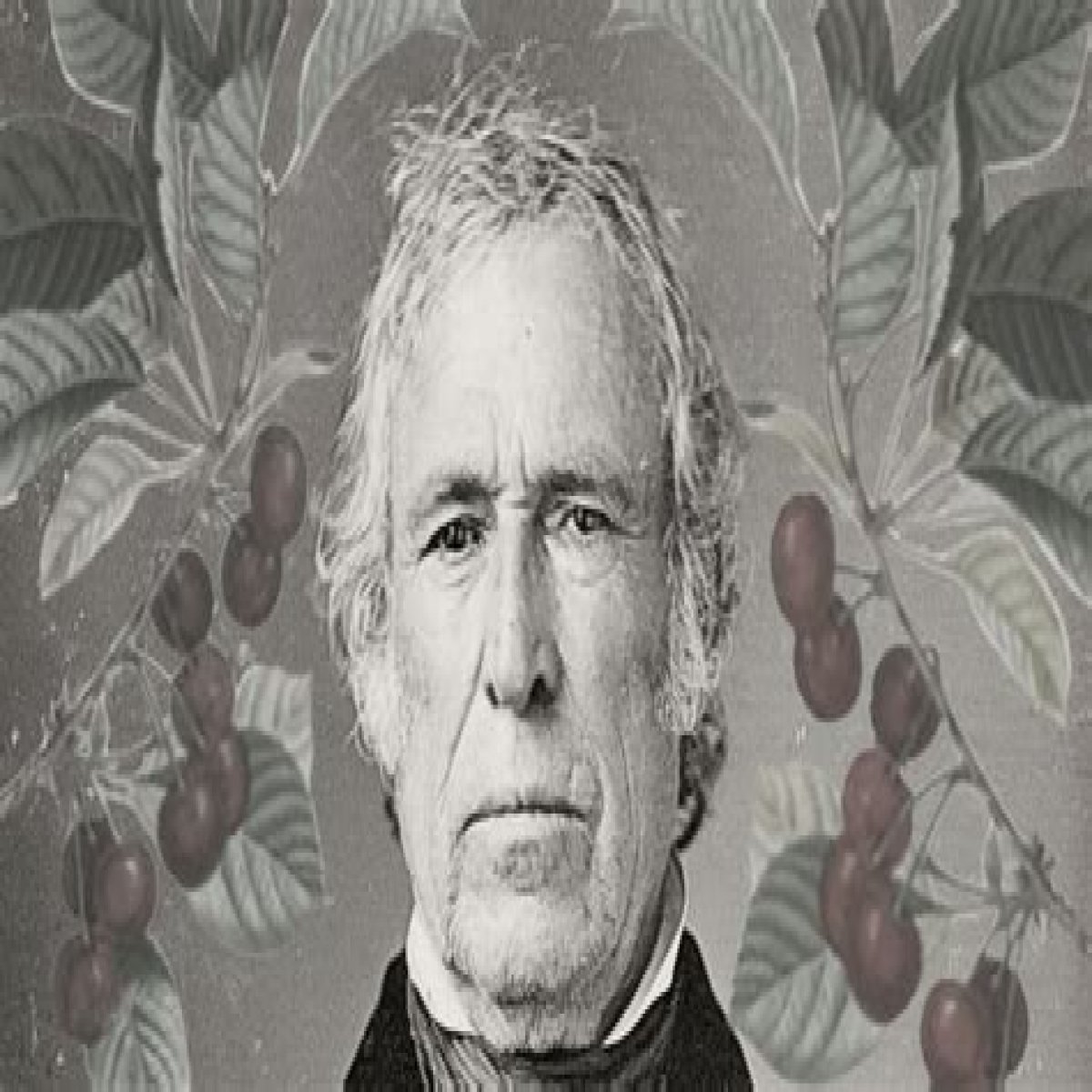How Cherries Are Tied To President Zachary Taylor's Death