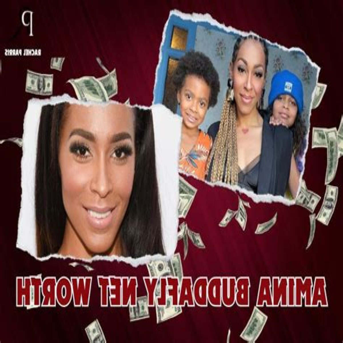 How Much Money Does Amina Buddafly Make? Latest Amina Buddafly Net Worth Income Salary