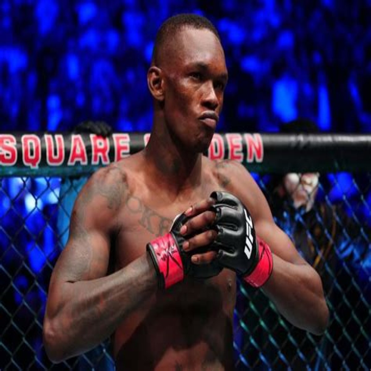 Israel Adesanya Net Worth