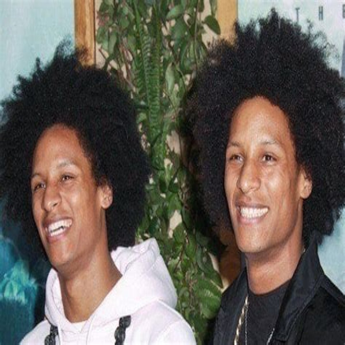 Les Twins (Dance Crew) - Members profile, Facts, Wiki, Achievements, Net worth 2024 (updated)
