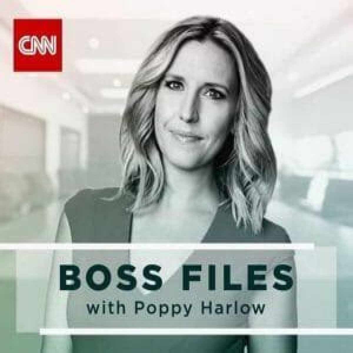 Poppy Harlow Biography: Is she married? Find out her biography, married, dating, family life, body measurement, career, net worth