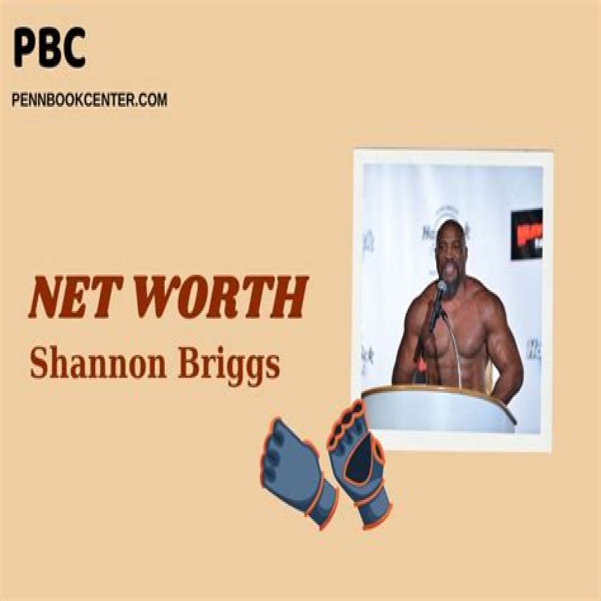 Shannon Briggs Net Worth 2024