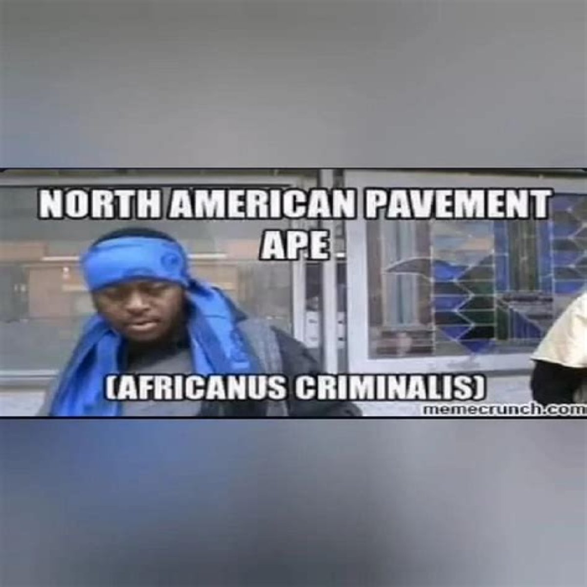 Uncovering Insights On "North American Pavement Ape Video"