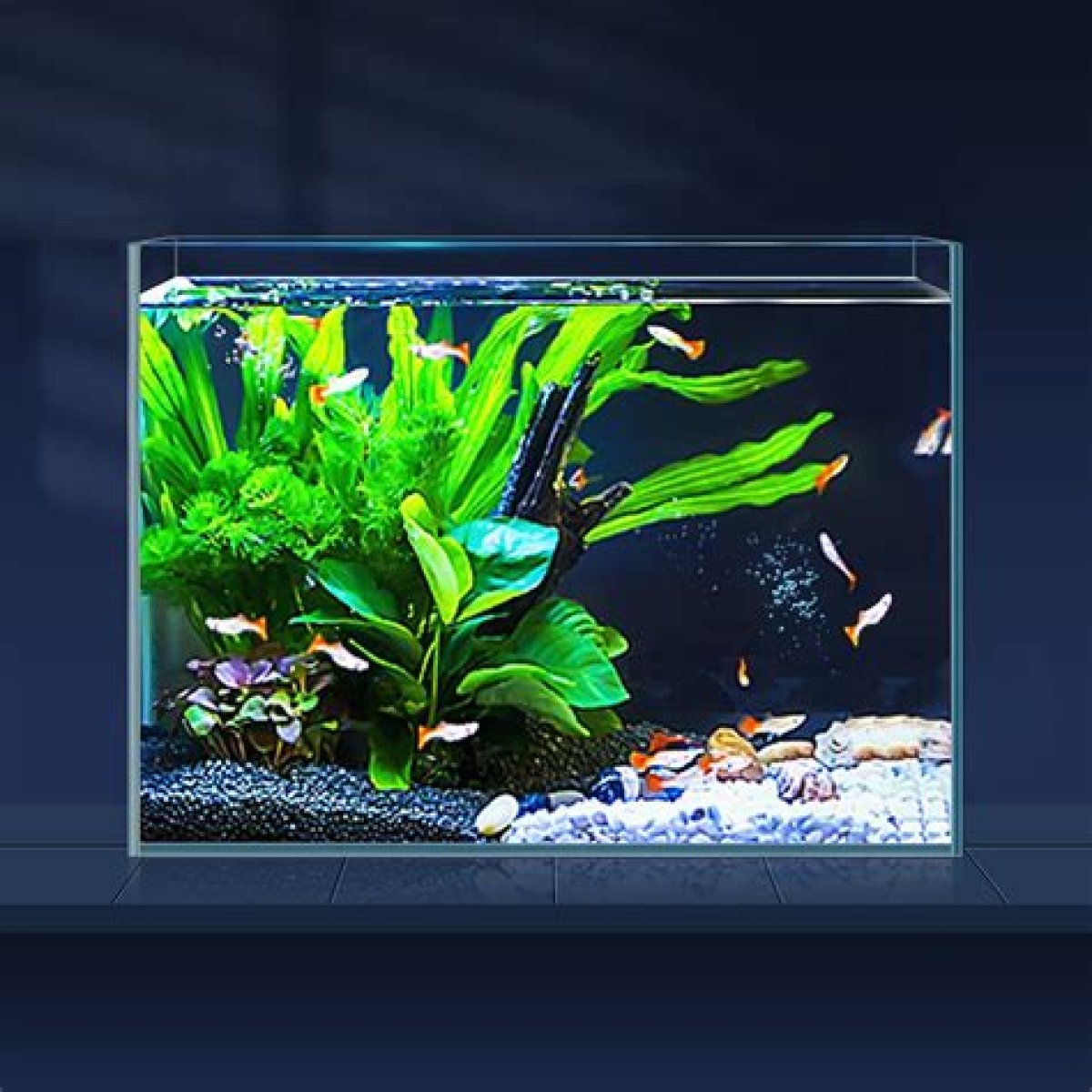 Unlock The Secrets To A Thriving "Betty Fish Tank" For The "andi15" Niche