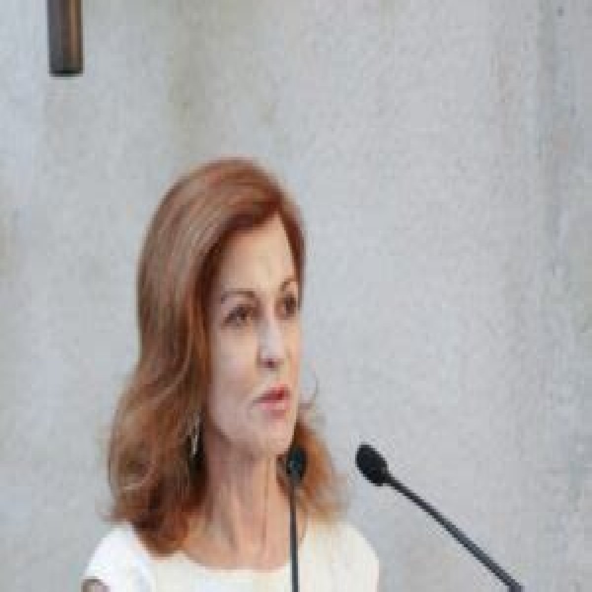 Unlocking The Mystery: Is Maureen Dowd Married Now? Her Bio Revealed