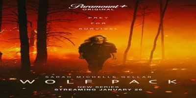 Watch Wolf Pack Streaming Online