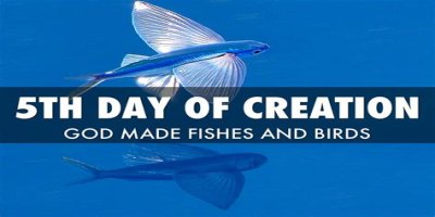 What did God create on the fifth day of creation?