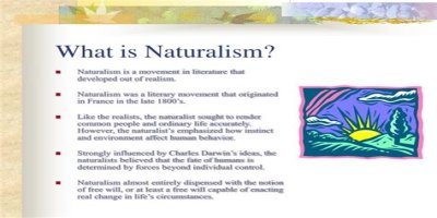 What is naturalism and its characteristics? – Janet-Panic.com