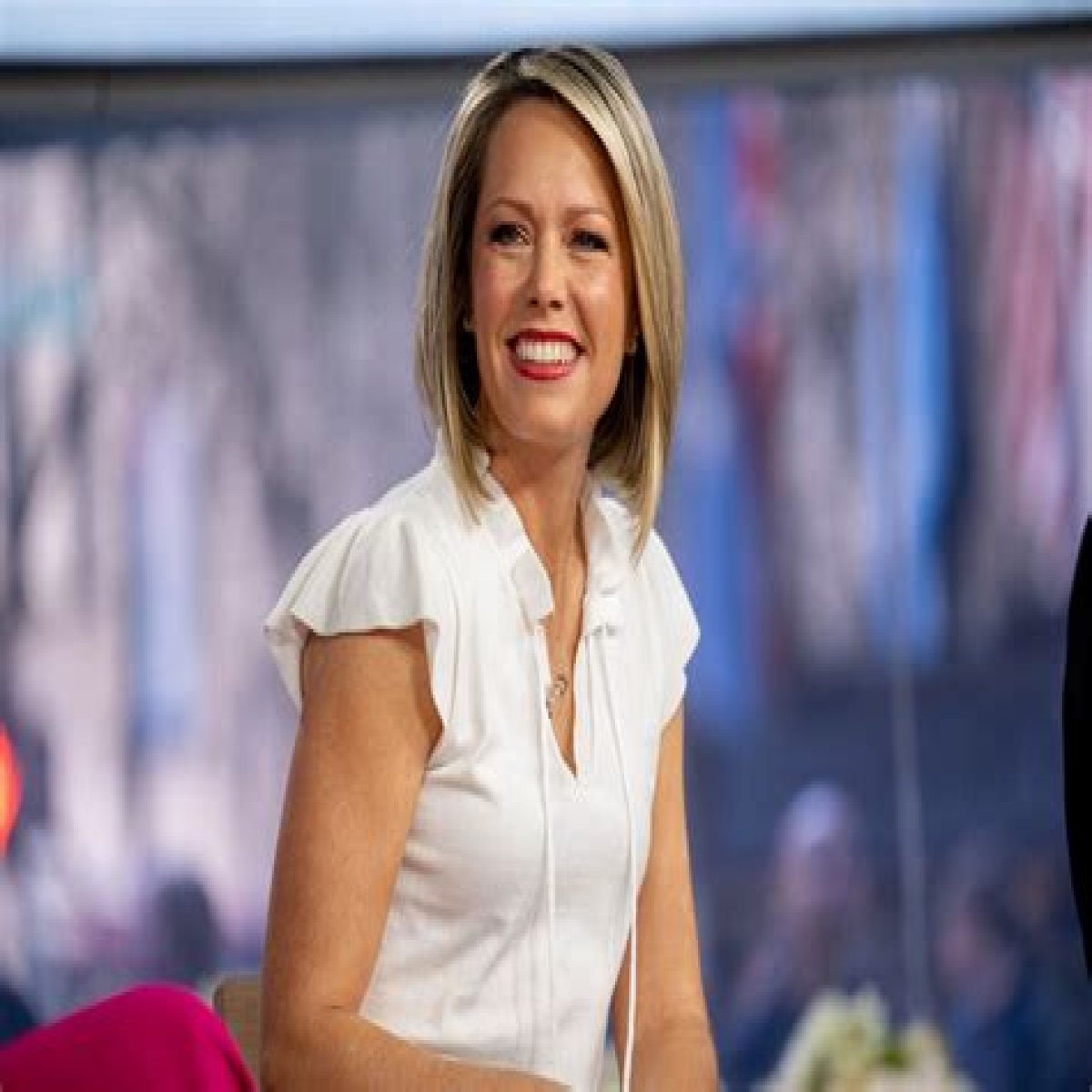 Why Fans Think Meteorologist Dylan Dreyer Is Pregnant With Fourth Child! 